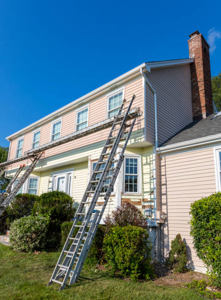 Best Storm Damage Siding Repair  in Chapel Hill, TN